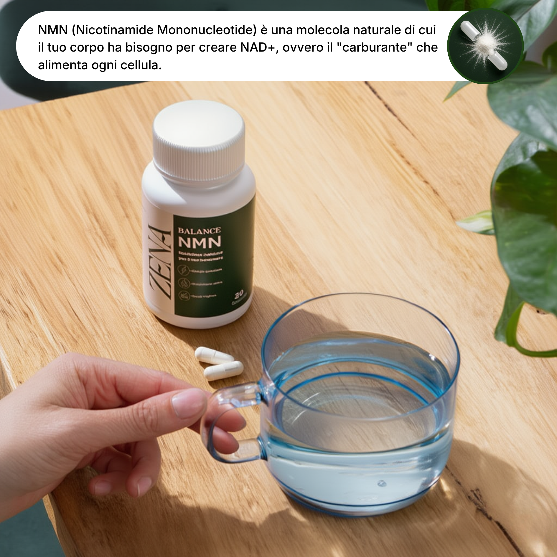 Zena Balance™ | Risveglia in 7 giorni le tue forze senza caffè o stimolanti