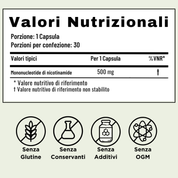 Zena Balance™ | Risveglia in 7 giorni le tue forze senza caffè o stimolanti