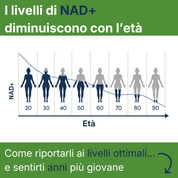 Zena Balance™ | Risveglia in 7 giorni le tue forze senza caffè o stimolanti