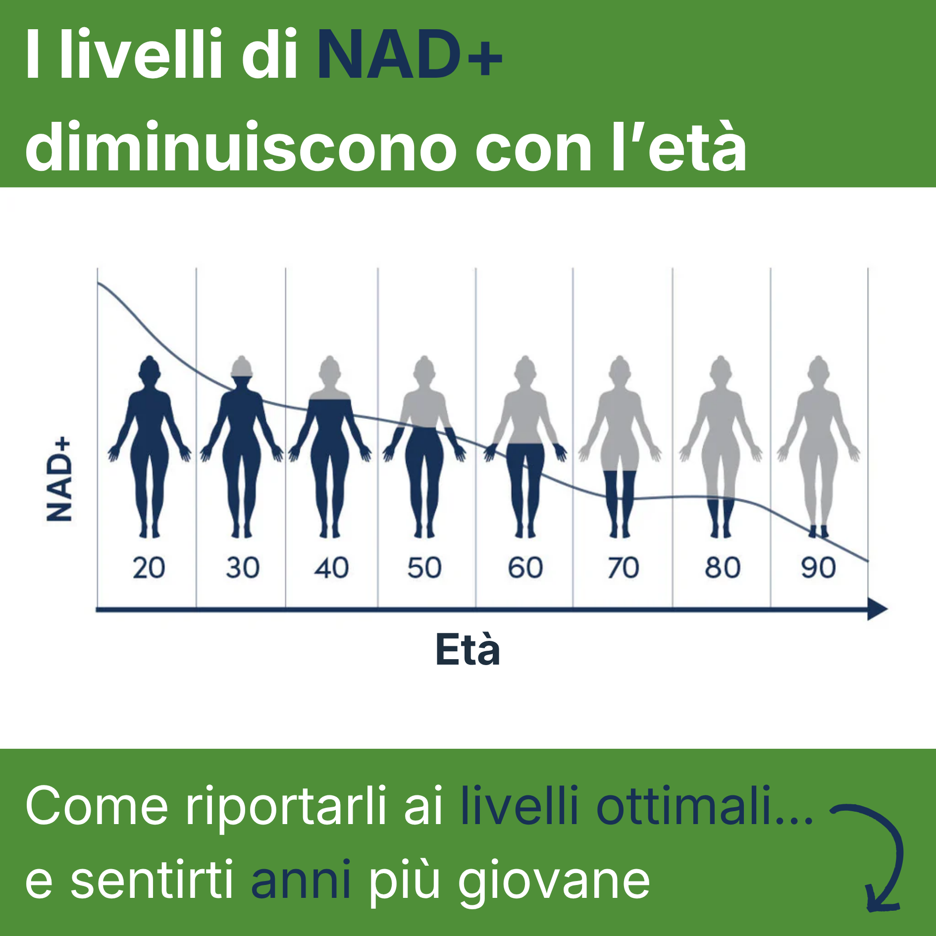 Zena Balance™ | Risveglia in 7 giorni le tue forze senza caffè o stimolanti