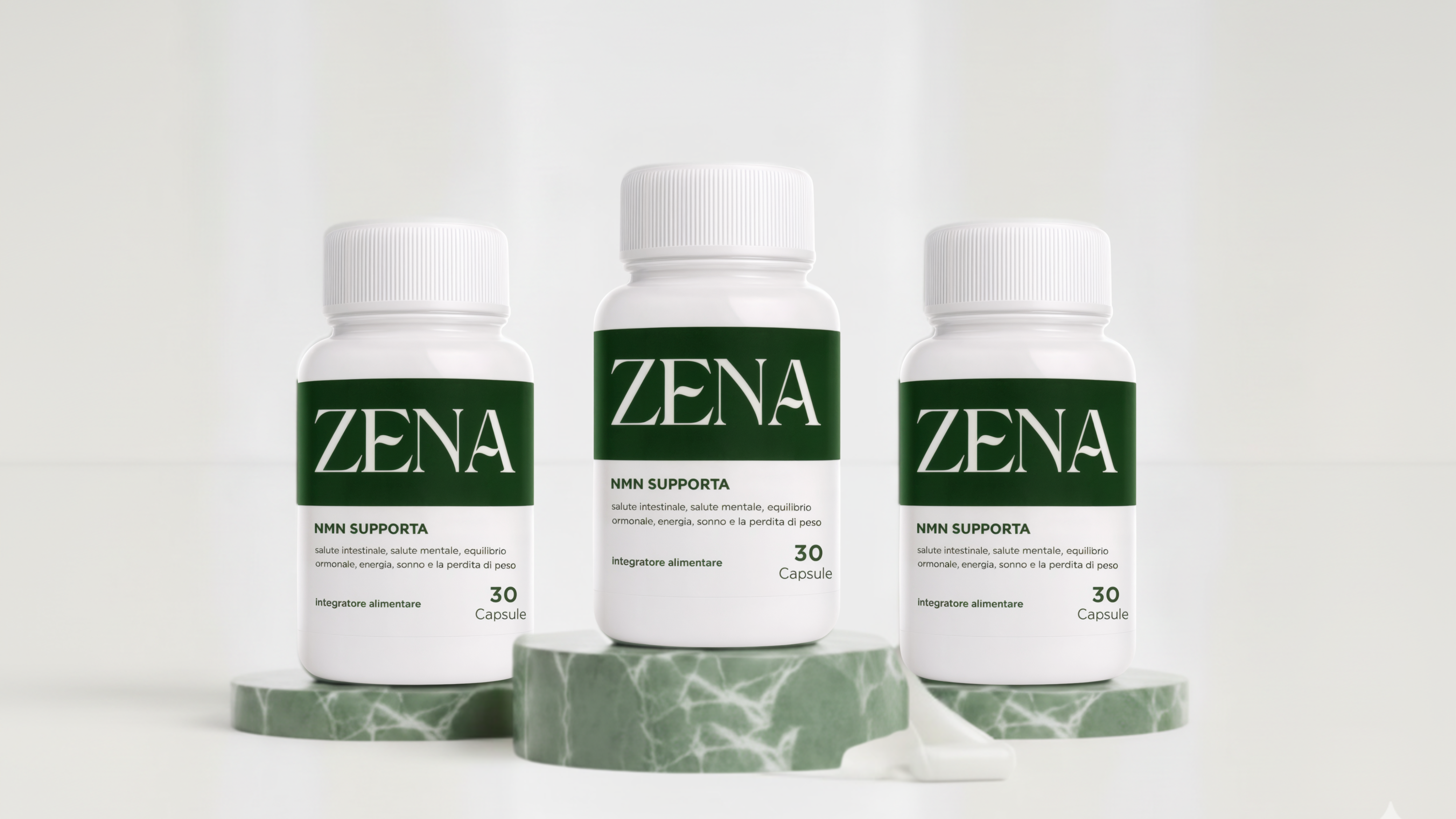 ZENA_home_page.png